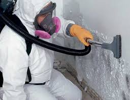 Mold Remediation for Vacation Homes in Buda, TX